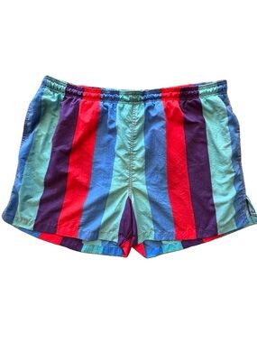 Vintage Pacific Scene Swim Trunks XL 80s 90s Rainbow Stripe Retro Surf Shorts